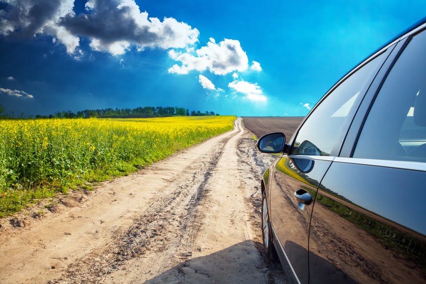Summer Dirt: Spot the Worst Offenders and Keep Your Car Clean