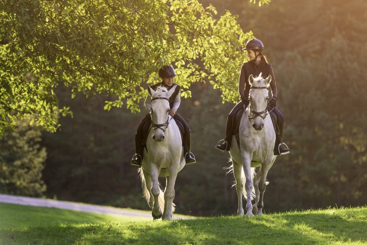 friends riding horses