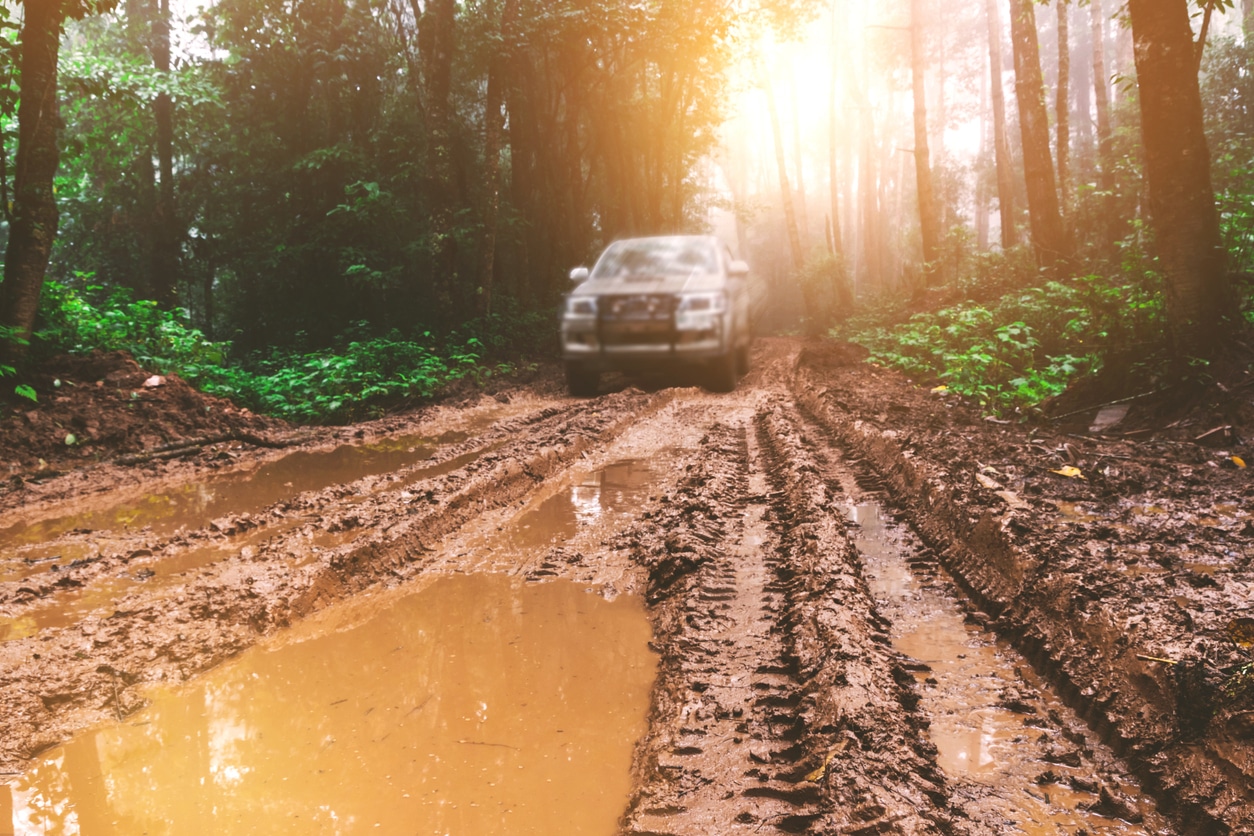 muddy car on forest road